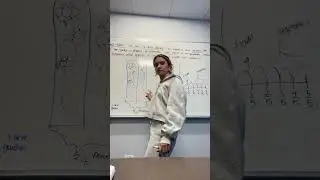 Math Exam Video