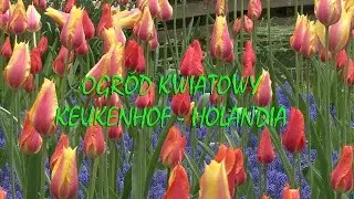 OGRÓD KWIATOWY KEUKENHOF- HOLANDIA