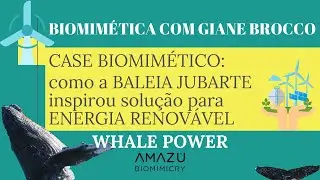 Baleia Jubarte e ENERGIA RENOV&Aacute;VEL: como WHALE POWER revolucionou a ind&uacute;stria? BIOMIM&Eacute;TICA