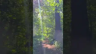 Let's relax!!!! Let's relax!!!!! Harmony of peace#relaxing#relaxingmusic#relaxingvideo