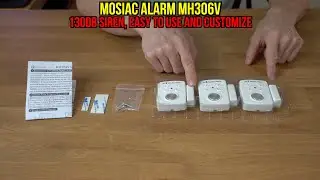 Персональные сигнализации Mosaic &mdash; настройка и обзор MH306v
