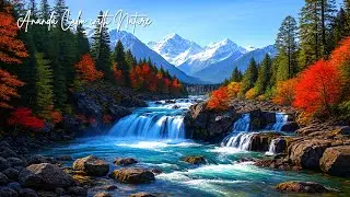 Evening Relaxation Music to Unwind After Work and Calm Your Mind Naturally