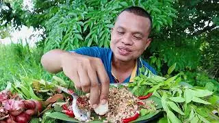 ก้อยไข่มดแดงอาหารชั้นสูงพร้อมวิธีทำสูตรจ่ากวางแซ่บๆครับผม