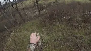 Rabbit hunting 2020