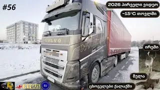 2026 პირველი ვიდეო ❄️ −15°C თოვლი | რა უნდა გაითვალისწინო ზამთარში ტრაილერზე| ცხოველები ქალაქში #56