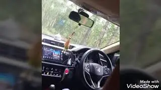 Peppara forest way with my🚘🙂🙂🙂🙂,Travel,Music,Drive Ishtaaaaaaaam