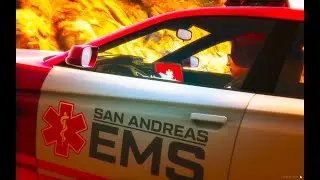EMS MDT