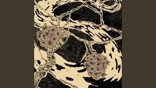 화선