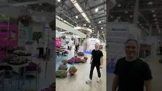 На выставке в Крокусе