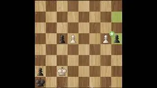 Pawn Endgame Rook Sacrifice 🤝🤝