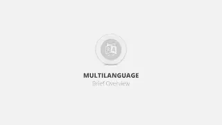 Multilanguage WordPress Plugin - Brief Overview
