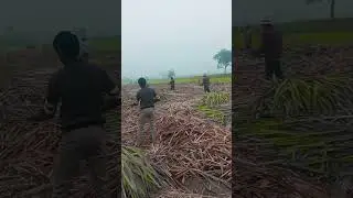 The Most Satisfying Farming Videos (Part 1) #shorts