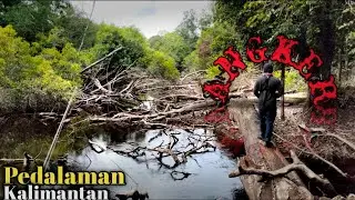 MANCING IKAN GABUS PALANGKARAYA
