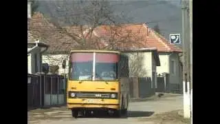 CRICĂU