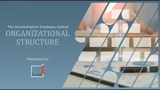 How to create Organization Structure in SuccessFactors Employee Central
