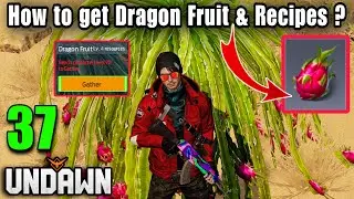 Undawn | How to get Dragon Fruits & Recipes | Beginners Guide #rhodegamer #iosgameplay #undawn