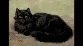 4 Pieces Relating to Cat (digest)