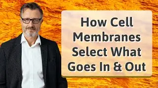 How Cell Membranes Select What Goes In & Out