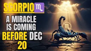 SCORPIO &mdash; A MIRACLE Is About To Happen Before December 20! 💫 Don&rsquo;t Ignore The Signs!