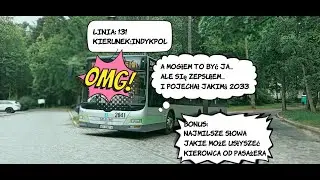 Co sądzą o mojej jeździe pasażerowie? Zastępczy MAN Lion's City na linii 131 - k: Indykpol i lato;)