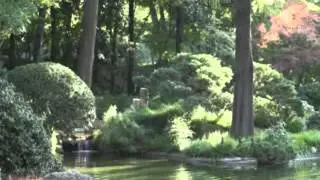 Blissful Memories (relax)