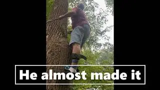 How not to remove a dead tree branch Part - 1 Redneck trails