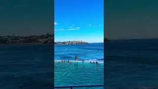 The best place on Earth 💙 #shorts #australia #sydney #bondibeach