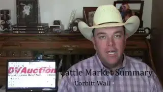 Cattle Market Summary:  No Stability, No Leverage