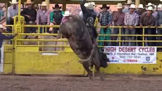 MEGABUCKS Bull Riding (Friday Night)