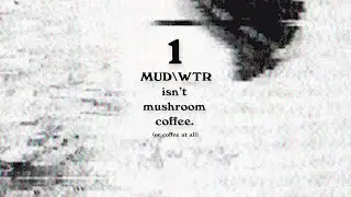 The difference between MUD\WTR and Mushroom Coffee