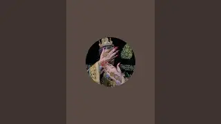 بدأت قناة 
