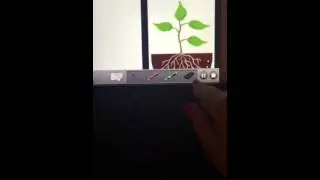 Screenchomp