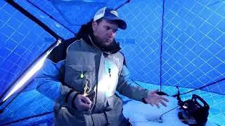 Правильно насадите живца на крючок для ловли на мертвую удочку.