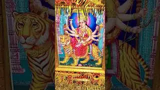 Om Jay Ambe Gauri maiya se din#shortvideo 🌺🙏🌺🙏🙏🙏🙏
