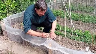 Keutenberg, slakkenwal in moestuin Ecotuin Keutenberg