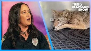 Dallas Animal Officer Fosters Wildlife In Her Home