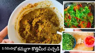 నోటికి పుల్లగా రుచిగా తినాలనిపిస్తే ఇలా చెయ్యండి 🤤 | coriander chutney recipe| cooking videos 