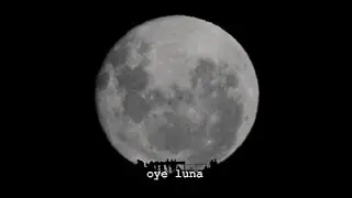 John Maus - Hey Moon [sub]