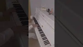 Sevmemeliyiz...Sena ŞENER
