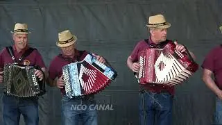 Grupo de Concertinas, Gente da Borga, Viana do Castelo, 2025 (04)