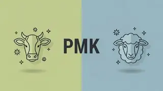 Tugas Case-Based Learning: Analisis Kasus PMK 2022