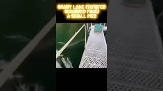 Lake MONSTER? 🦕 #scary #amazing #monster