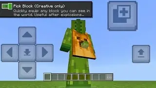 Use full Button ⚫| Pick Block| How to use| Minecraft