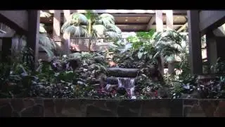 DISNEY'S POLYNESIAN RESORT - screensaver ( Lobby Waterfall )