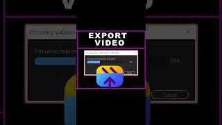 How to Export Video in Premiere Pro Beginner