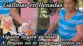 Preparamos gallinas llegará una persona ni te imaginas quién es 😱