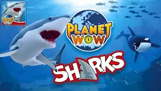 PLANET WOW Sharks: геймплей (ранний доступ) &mdash; мобильная игра.