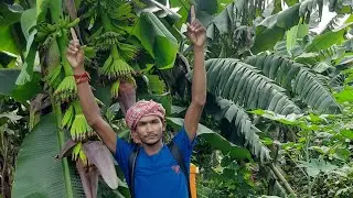 68- अनुभव ले रहा हूं भाइयों Plantation 2018-2019f1---2020f2----2021f3------2022f4 अब 2023 में बं च |