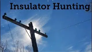 February Insulator Hunt (Part 1)