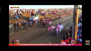 sonya 5050 & bakasur  vs mathur 1001 & mehboob😶&zwj;🌫 | sonya 5050 & bakasur  win 👑